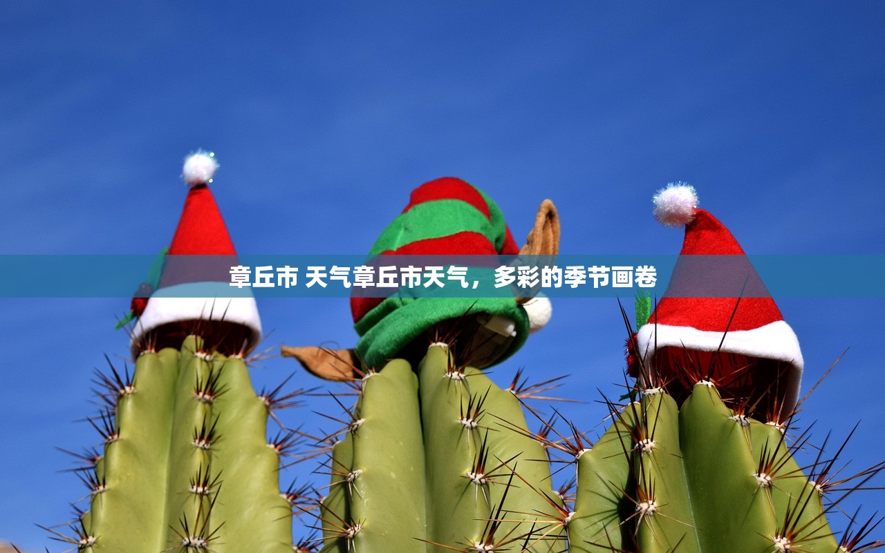 章丘市 天气章丘市天气，多彩的季节画卷  第1张