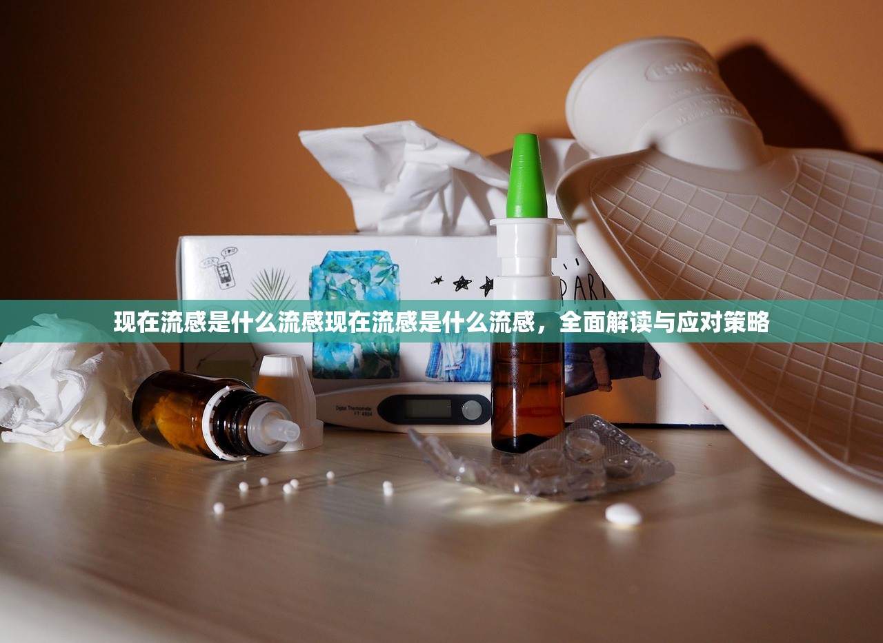 现在流感是什么流感现在流感是什么流感，全面解读与应对策略  第1张