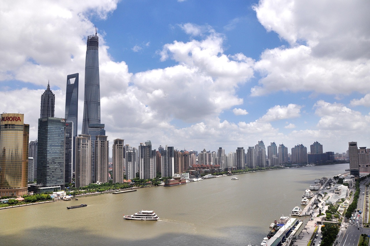 流感上海流感下的上海，城市如何应对挑战  第2张