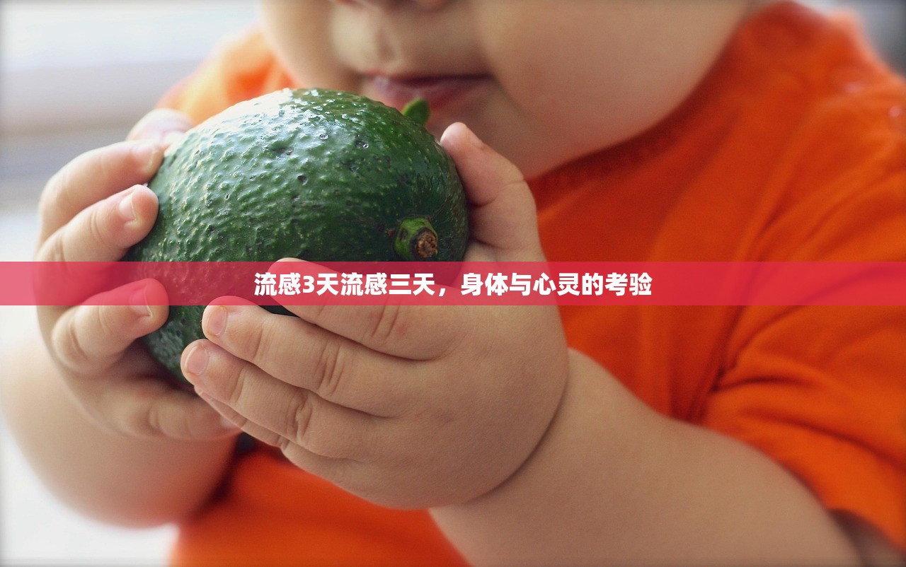 流感3天流感三天，身体与心灵的考验  第1张