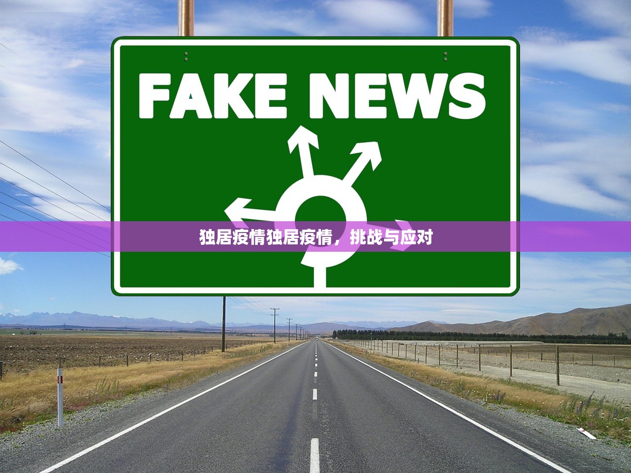 独居疫情独居疫情，挑战与应对  第1张