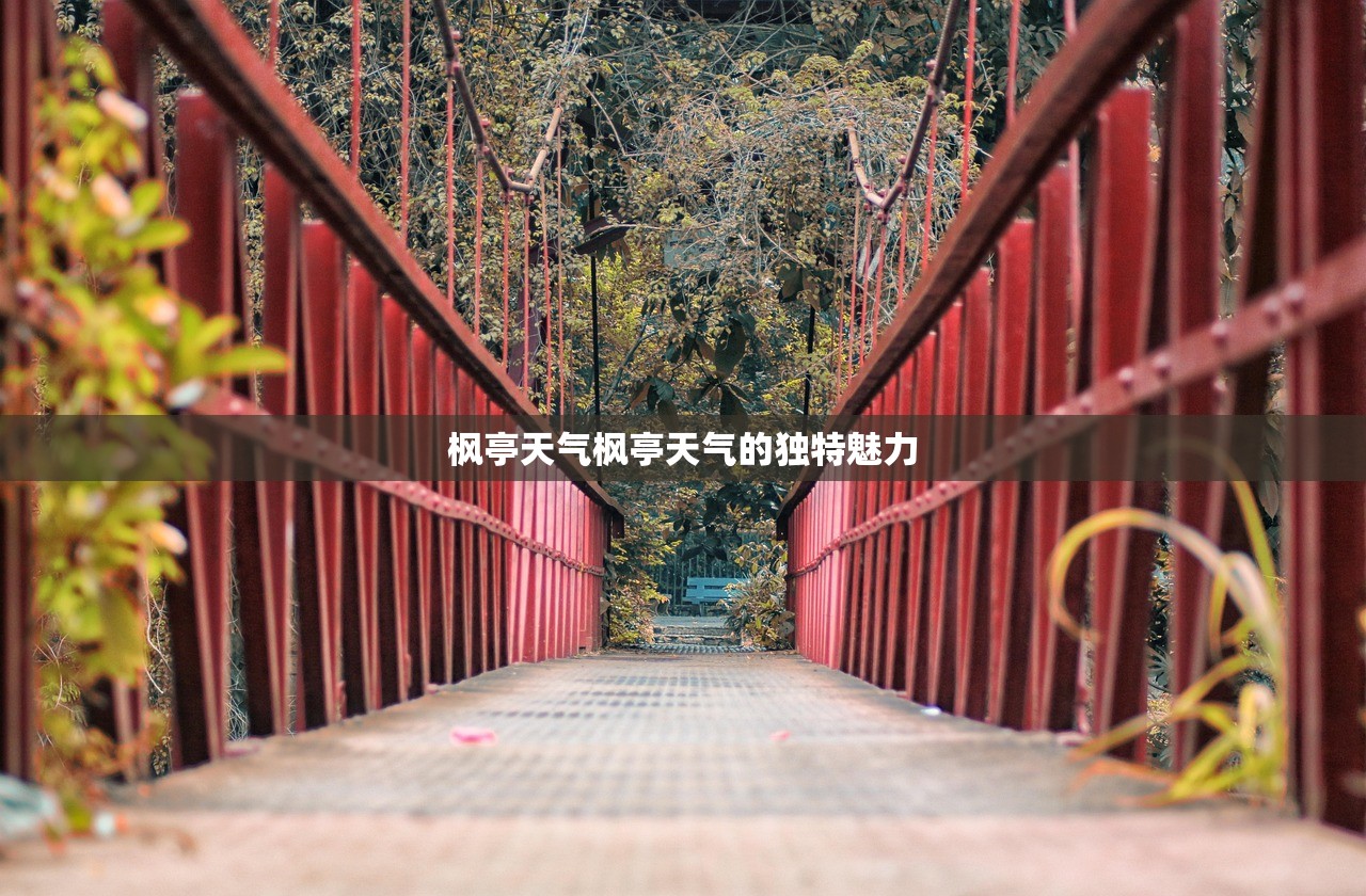枫亭天气枫亭天气的独特魅力  第1张