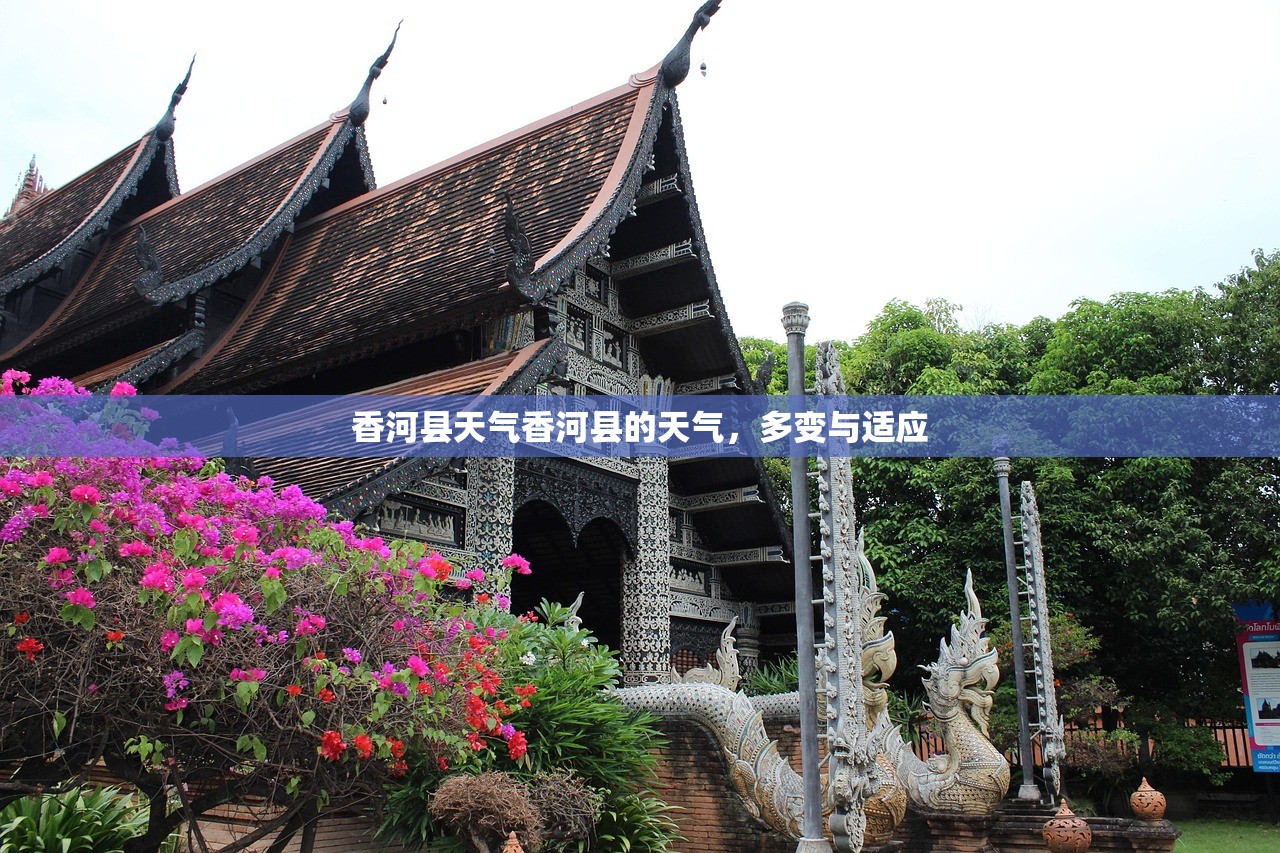 香河县天气香河县的天气，多变与适应  第1张