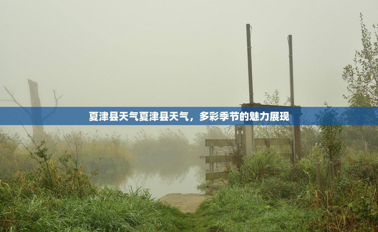 夏津县天气夏津县天气，多彩季节的魅力展现  第1张