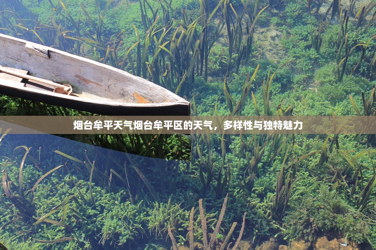 烟台牟平天气烟台牟平区的天气，多样性与独特魅力  第1张