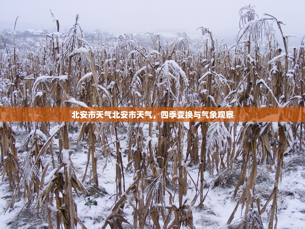 北安市天气北安市天气，四季变换与气象观察  第1张