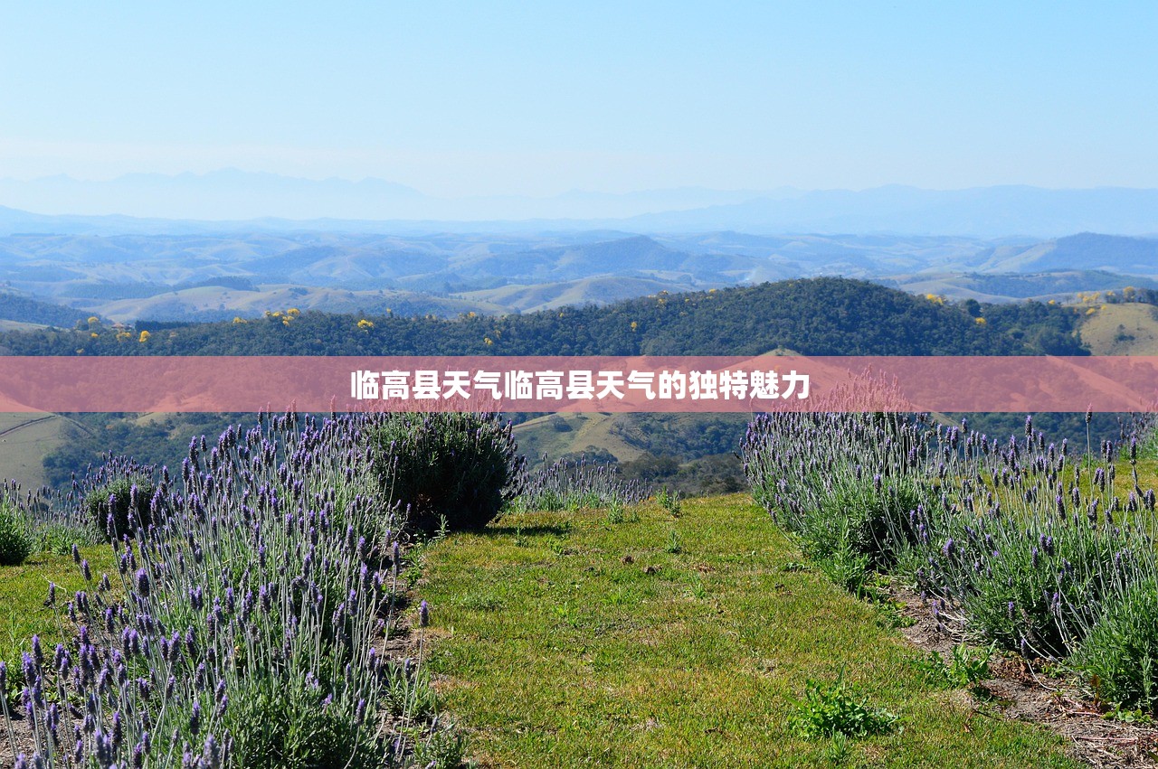 临高县天气临高县天气的独特魅力  第1张