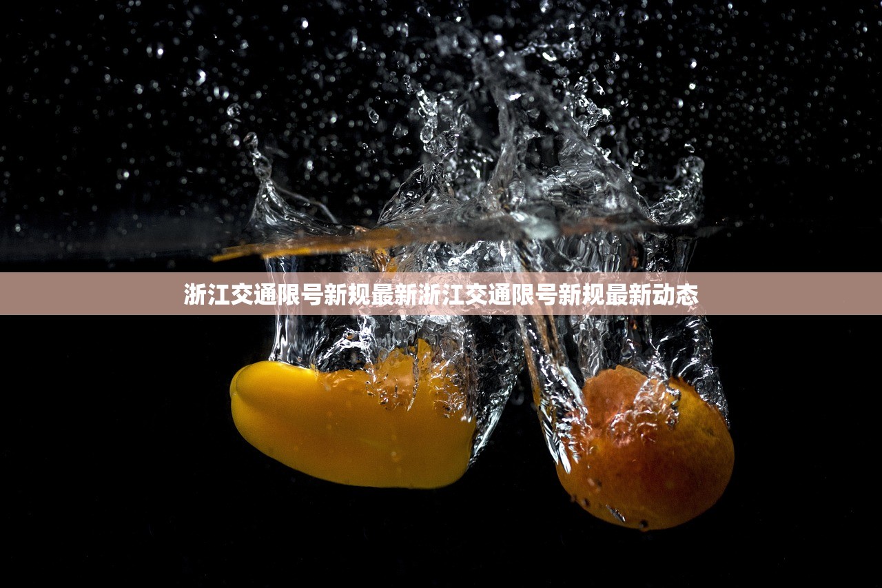 浙江交通限号新规最新浙江交通限号新规最新动态  第1张