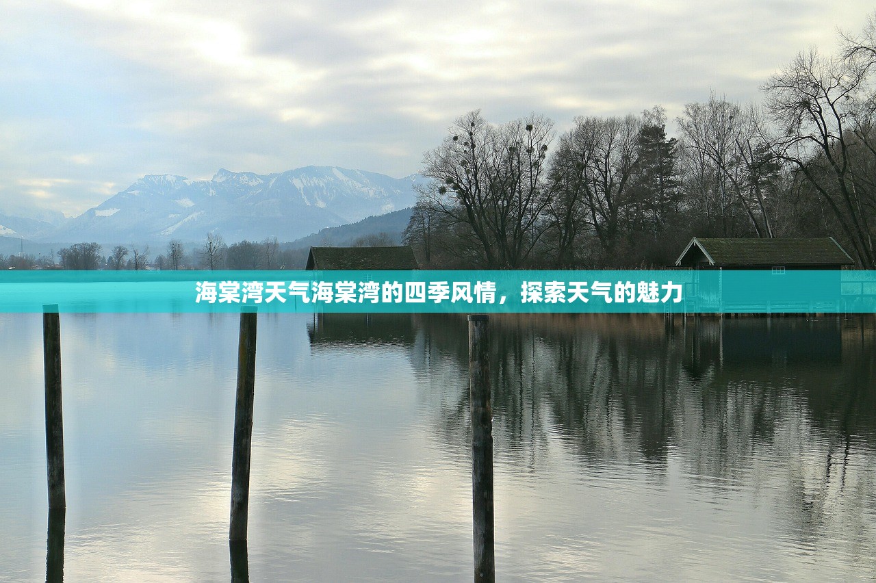 海棠湾天气海棠湾的四季风情，探索天气的魅力  第1张