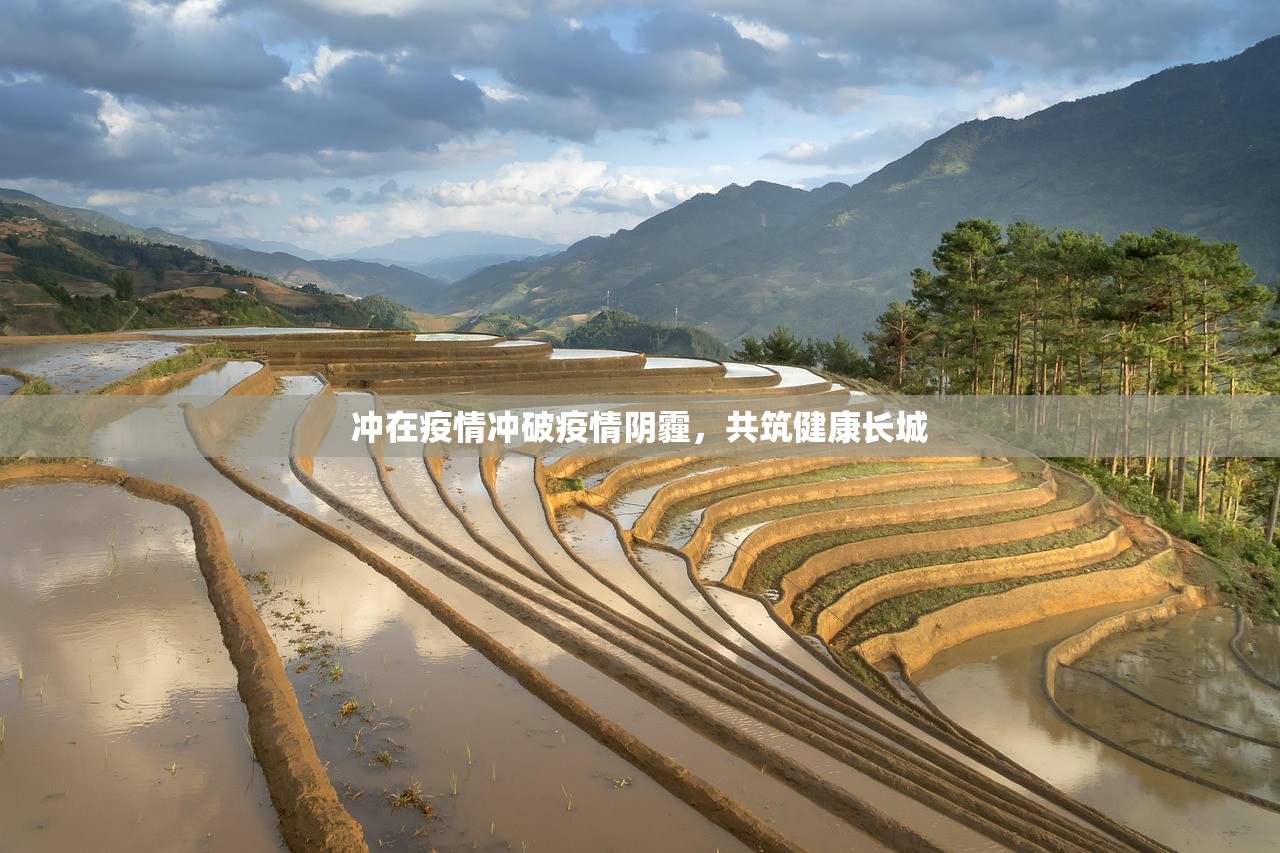 冲在疫情冲破疫情阴霾，共筑健康长城  第1张