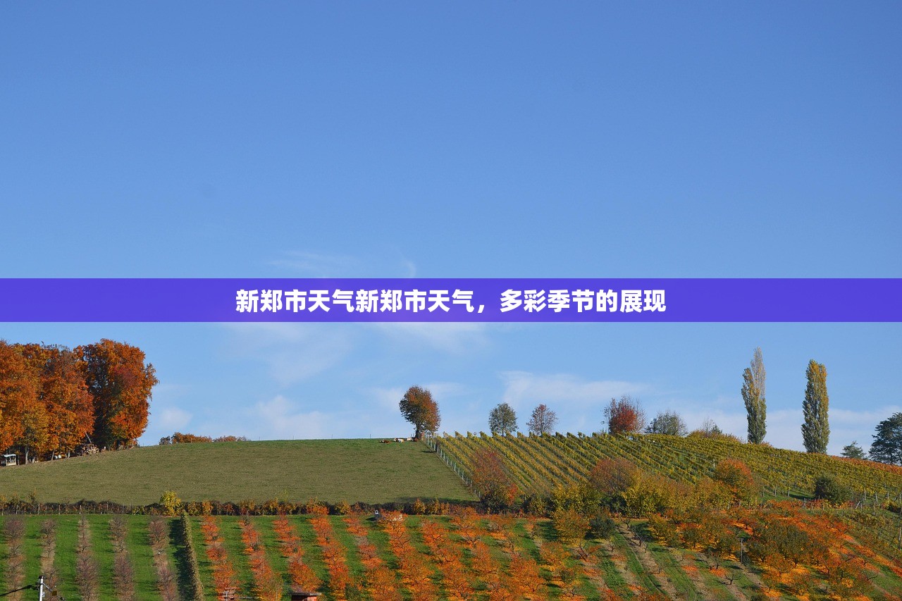 新郑市天气新郑市天气，多彩季节的展现  第1张
