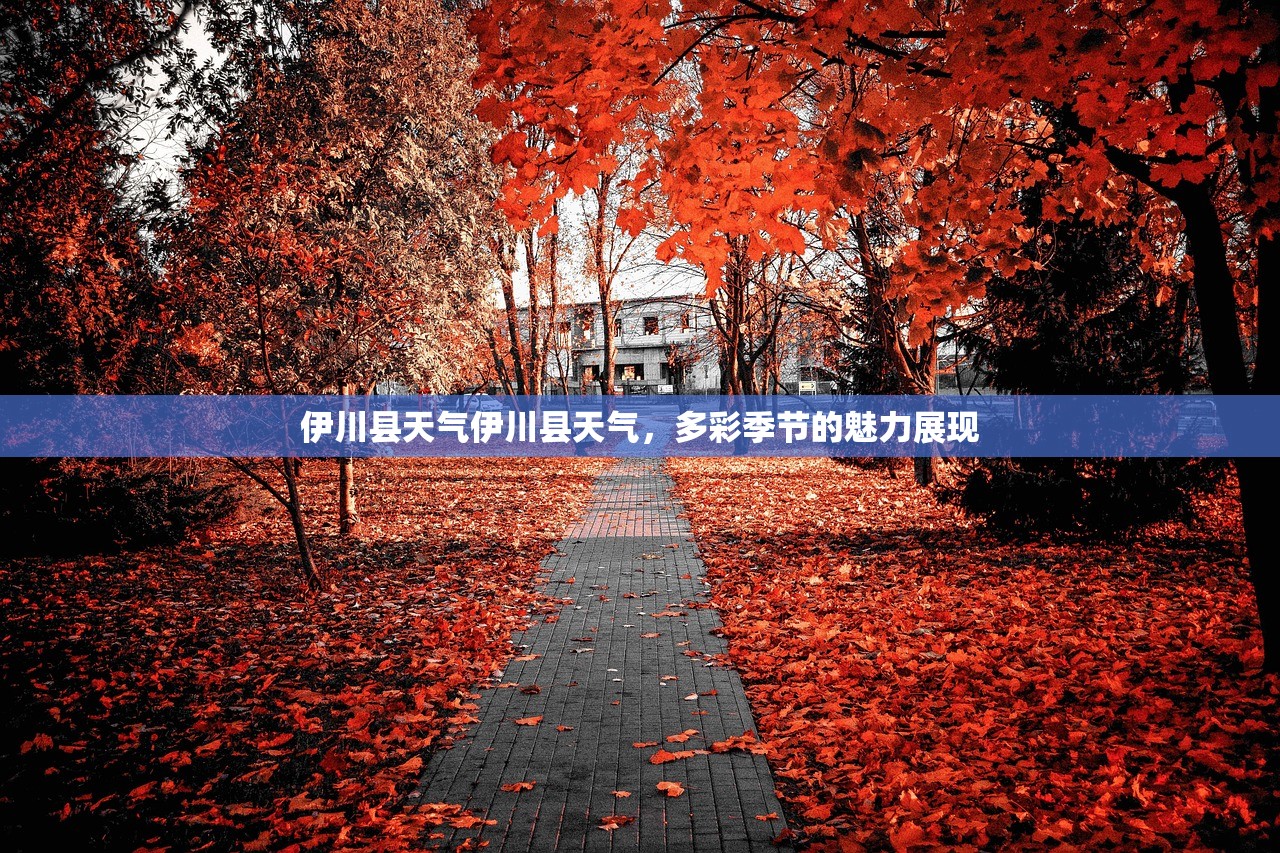 伊川县天气伊川县天气，多彩季节的魅力展现  第1张