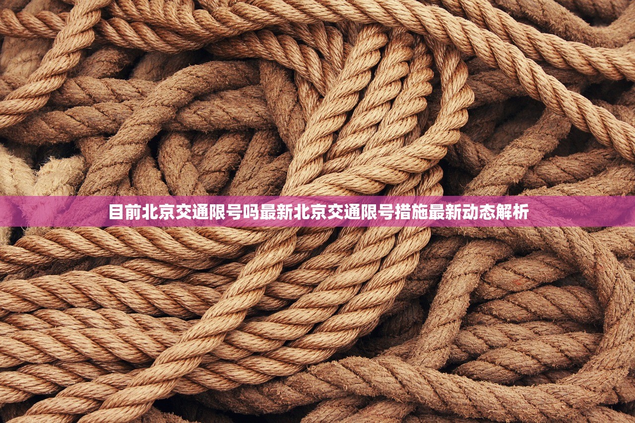 目前北京交通限号吗最新北京交通限号措施最新动态解析 第1张 目前北京交通限号吗最新北京交通限号措施最新动态解析 第1张