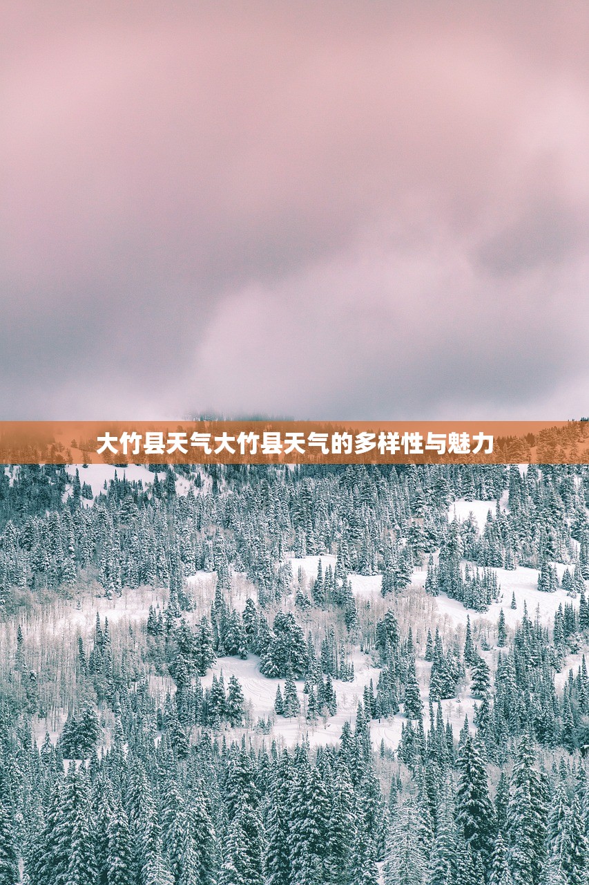大竹县天气大竹县天气的多样性与魅力  第1张