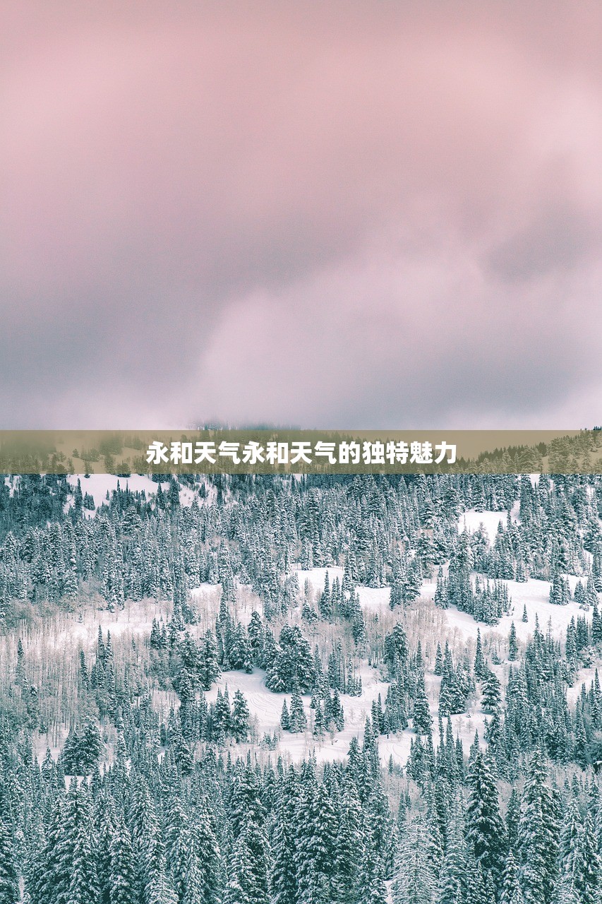 永和天气永和天气的独特魅力  第1张