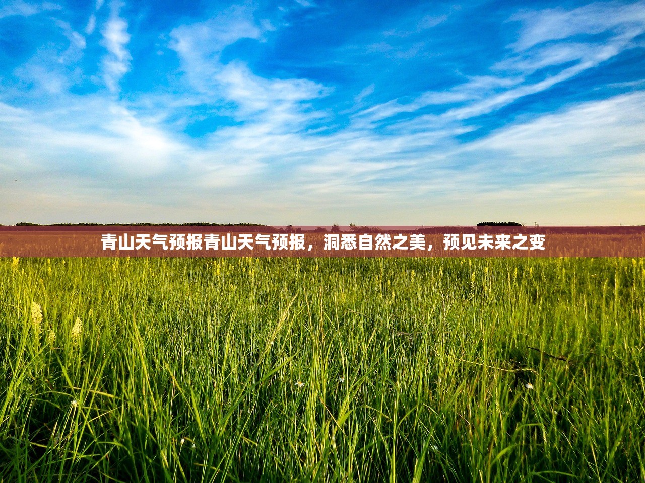 青山天气预报青山天气预报，洞悉自然之美，预见未来之变  第1张