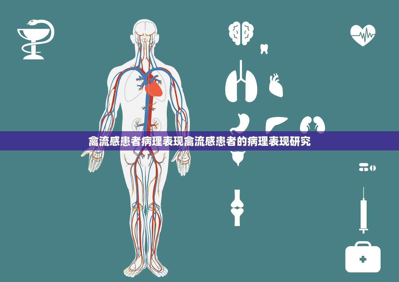 禽流感患者病理表现禽流感患者的病理表现研究  第1张
