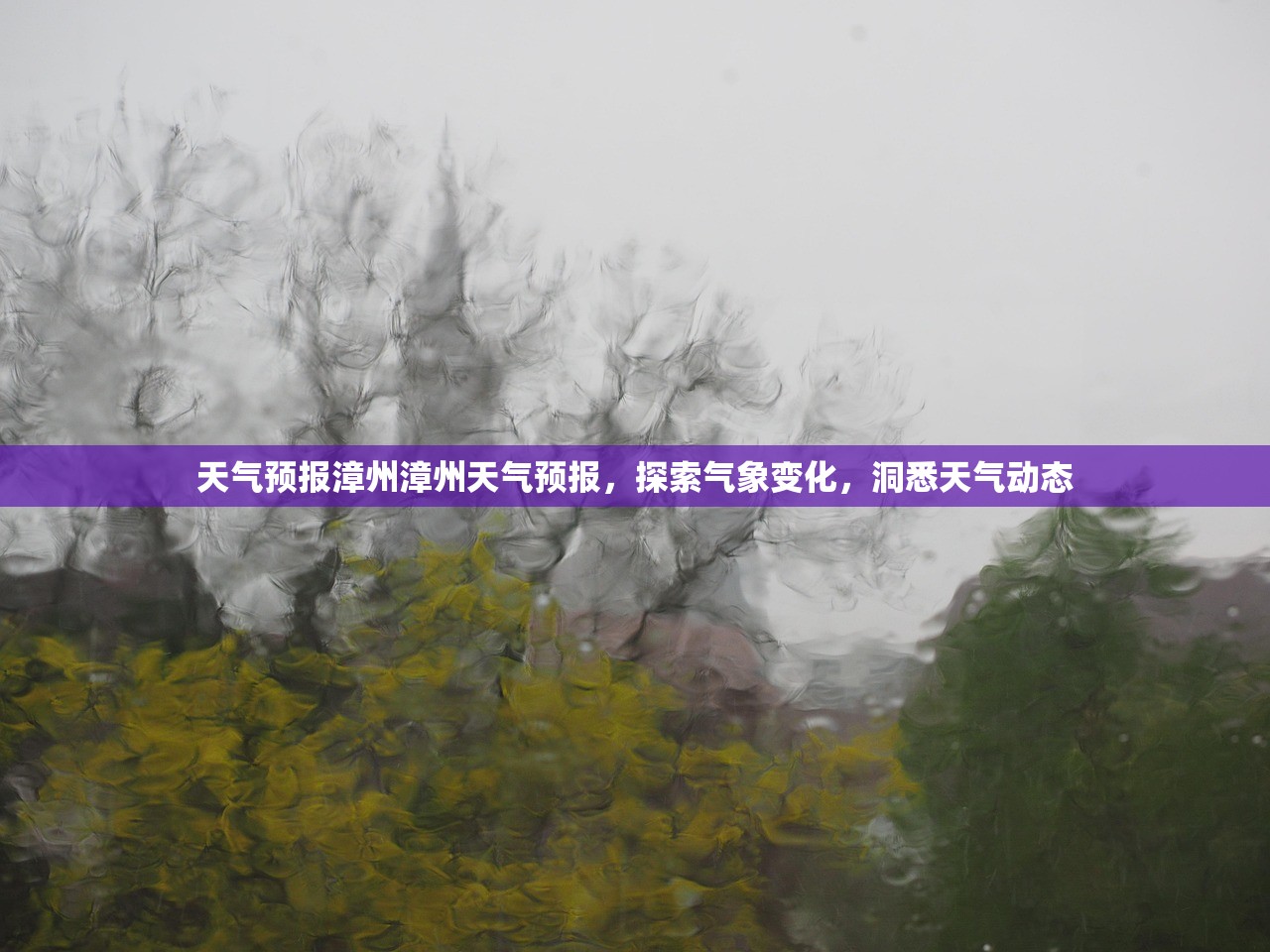 天气预报漳州漳州天气预报，探索气象变化，洞悉天气动态  第1张