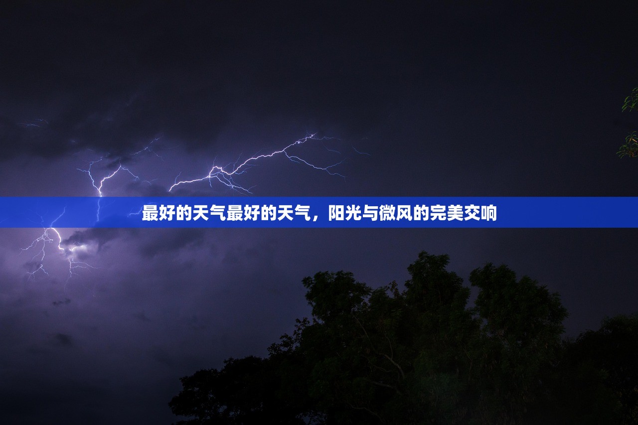 最好的天气最好的天气，阳光与微风的完美交响  第1张