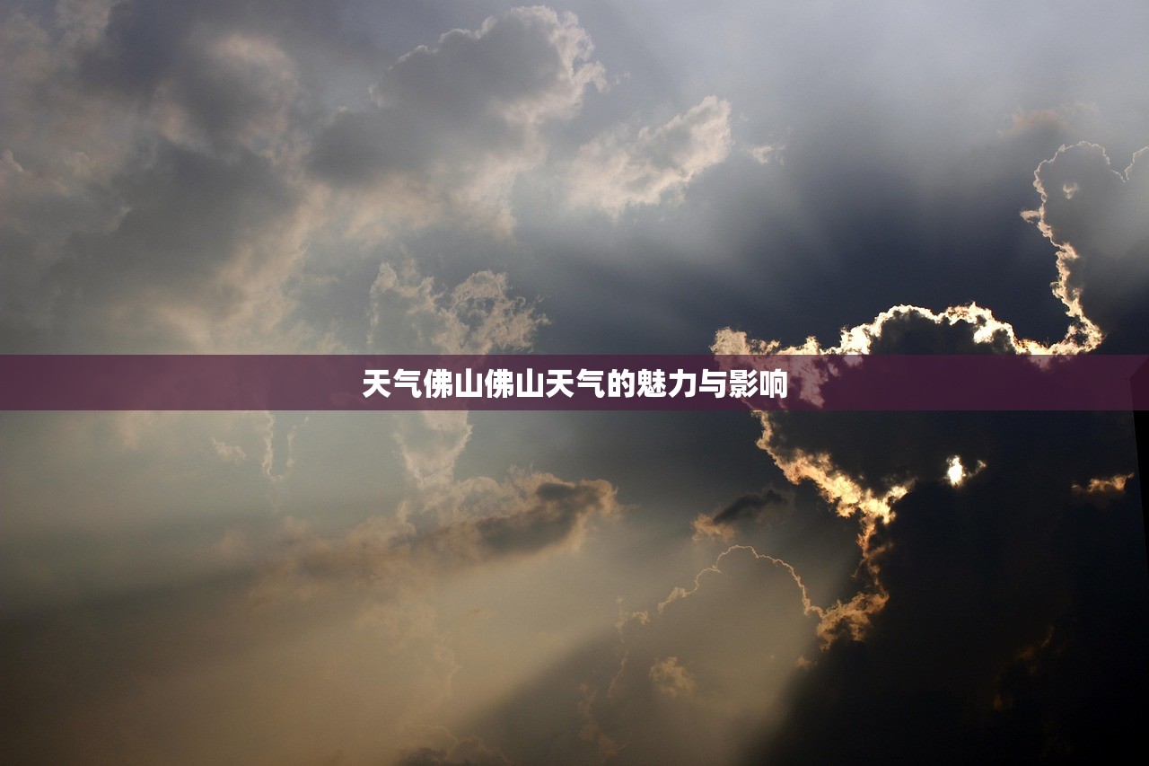 天气佛山佛山天气的魅力与影响  第1张