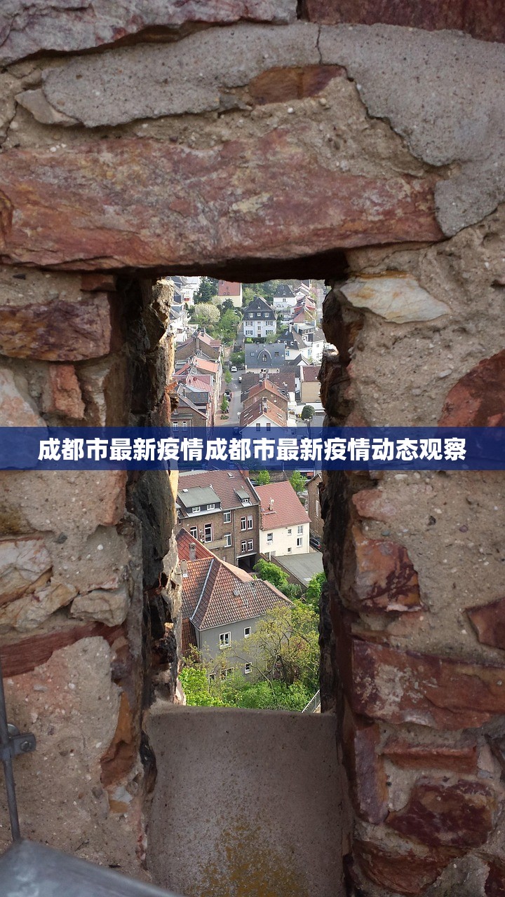 成都市最新疫情成都市最新疫情动态观察  第1张