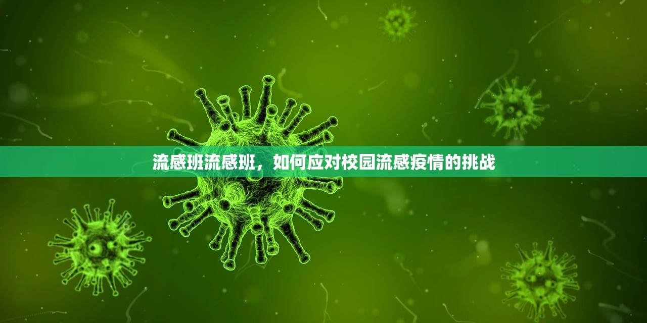 流感班流感班，如何应对校园流感疫情的挑战  第1张