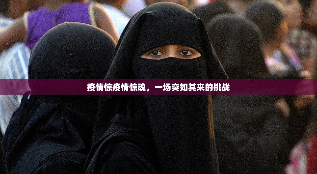 疫情惊疫情惊魂，一场突如其来的挑战  第1张