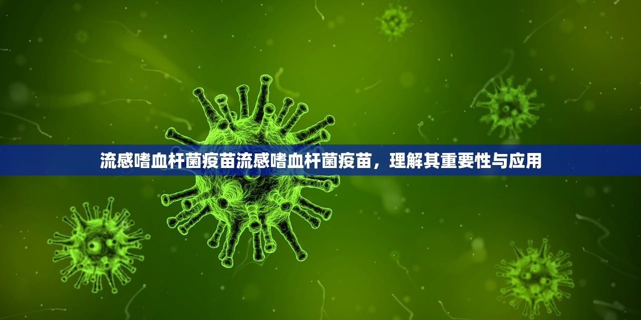 流感嗜血杆菌疫苗流感嗜血杆菌疫苗，理解其重要性与应用  第1张