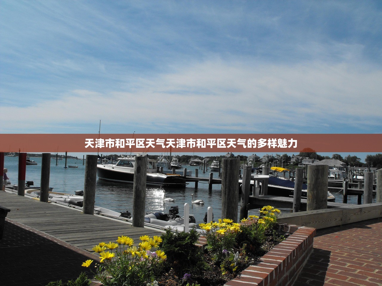 天津市和平区天气天津市和平区天气的多样魅力  第1张