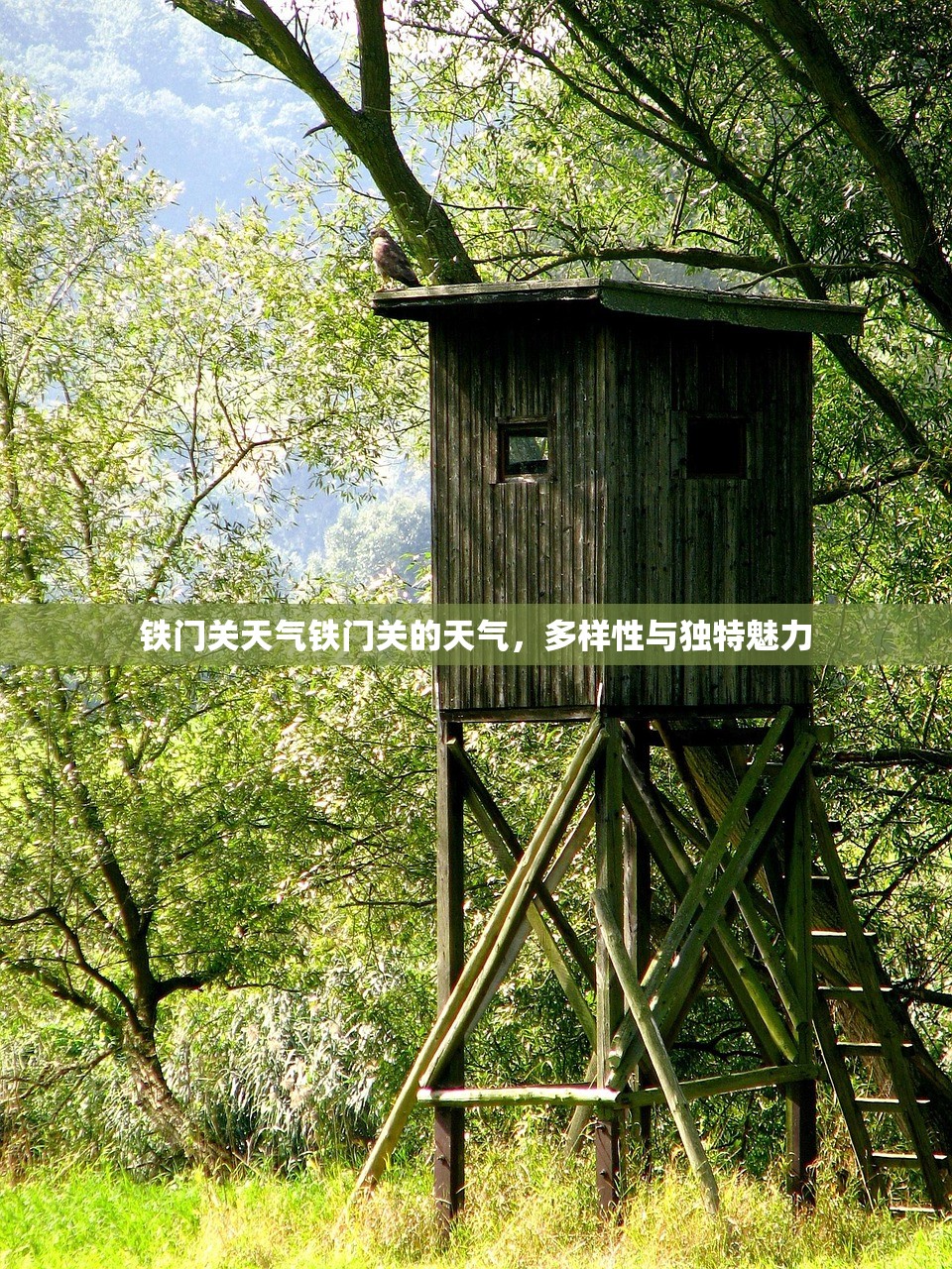铁门关天气铁门关的天气，多样性与独特魅力  第1张