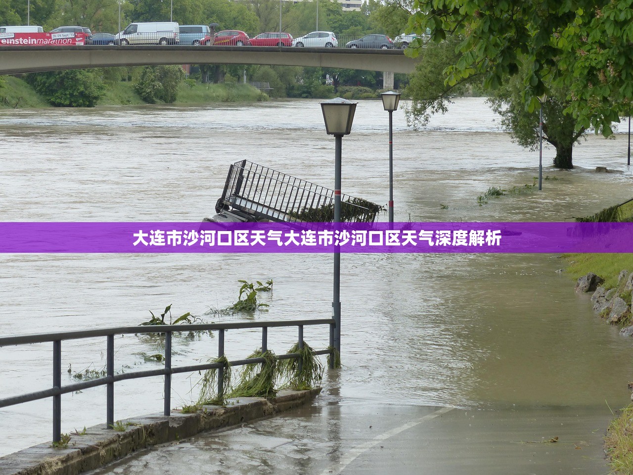 大连市沙河口区天气大连市沙河口区天气深度解析  第1张