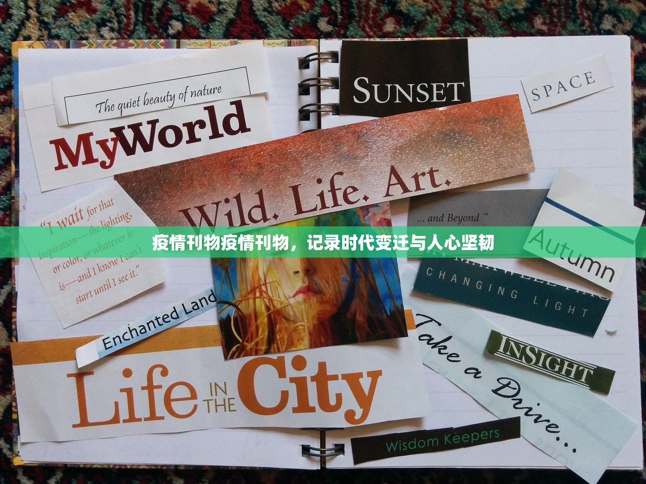疫情刊物疫情刊物，记录时代变迁与人心坚韧  第1张