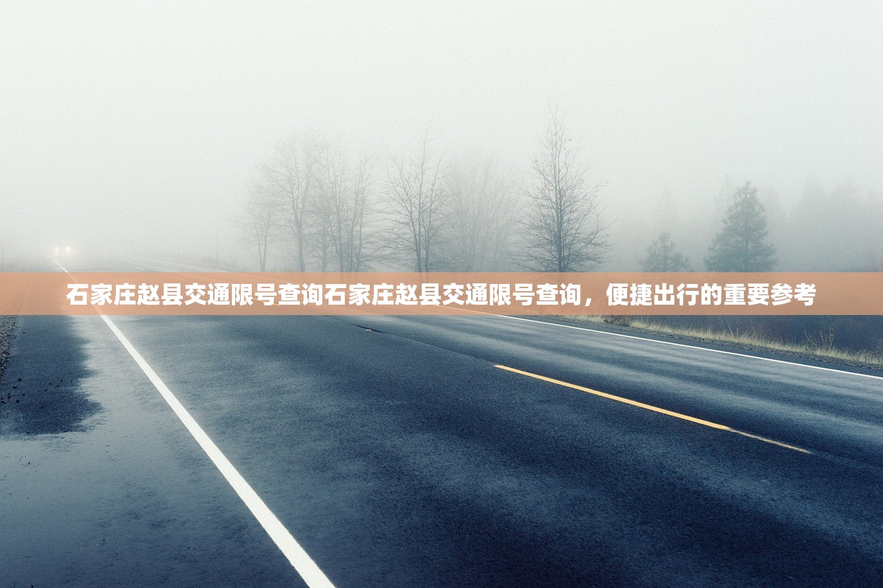 石家庄赵县交通限号查询石家庄赵县交通限号查询，便捷出行的重要参考  第1张