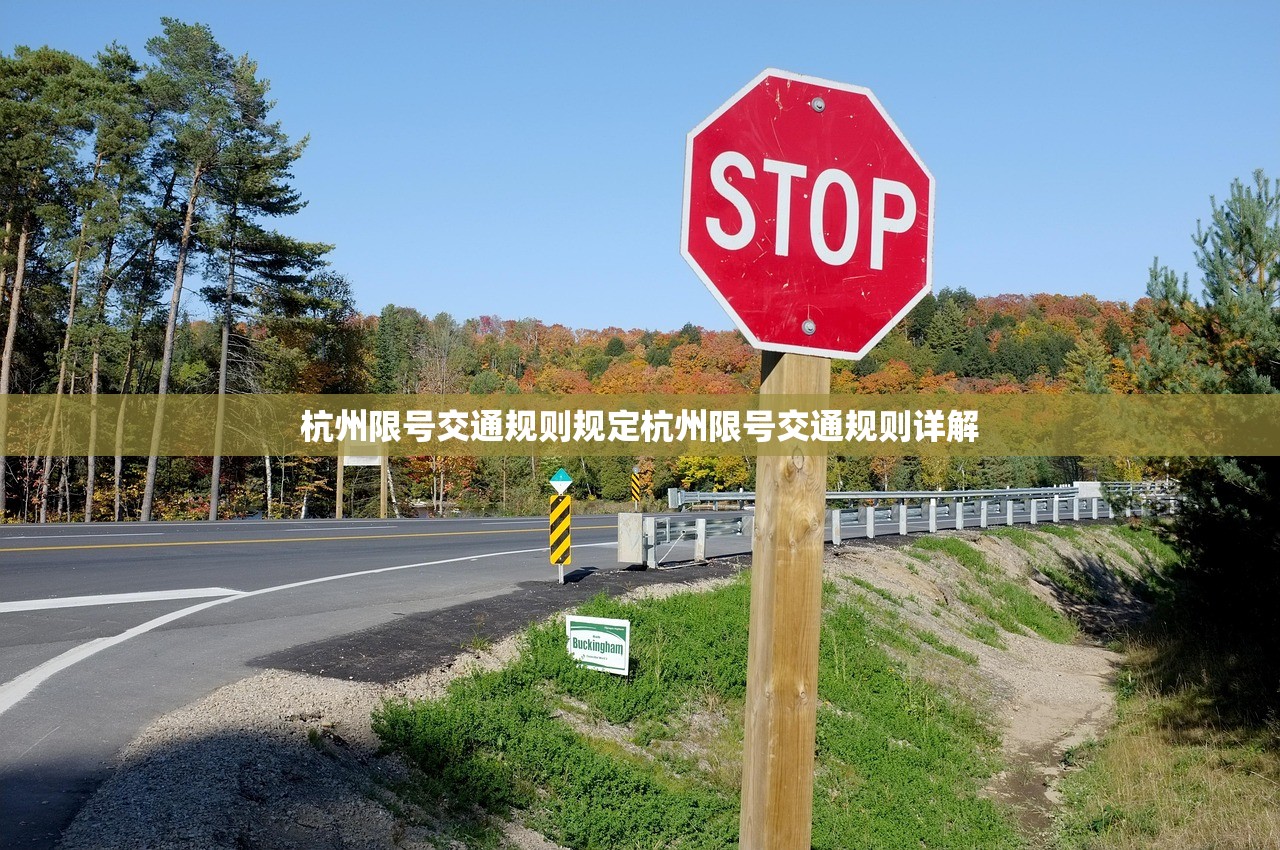 杭州限号交通规则规定杭州限号交通规则详解  第1张