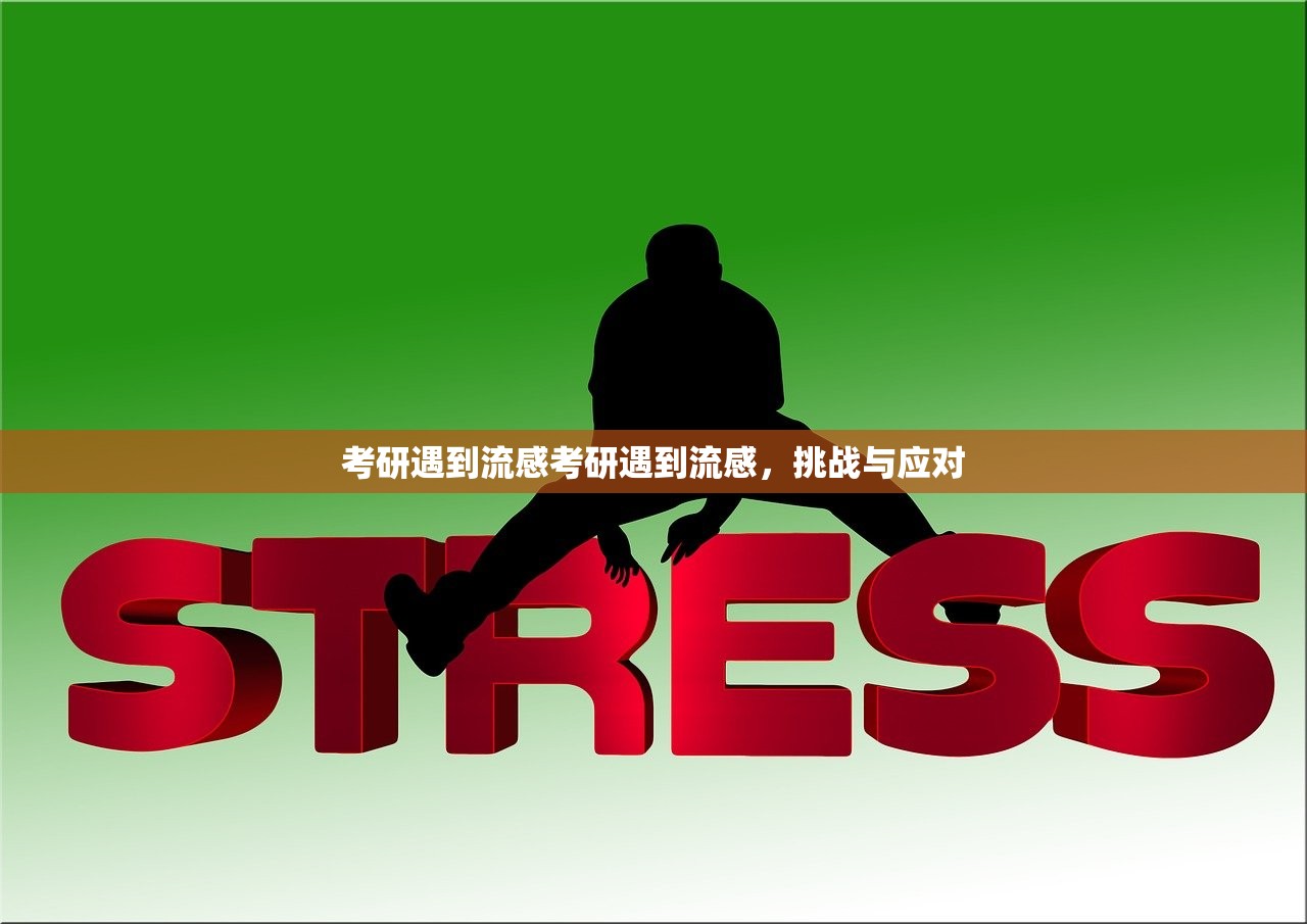 考研遇到流感考研遇到流感，挑战与应对  第1张