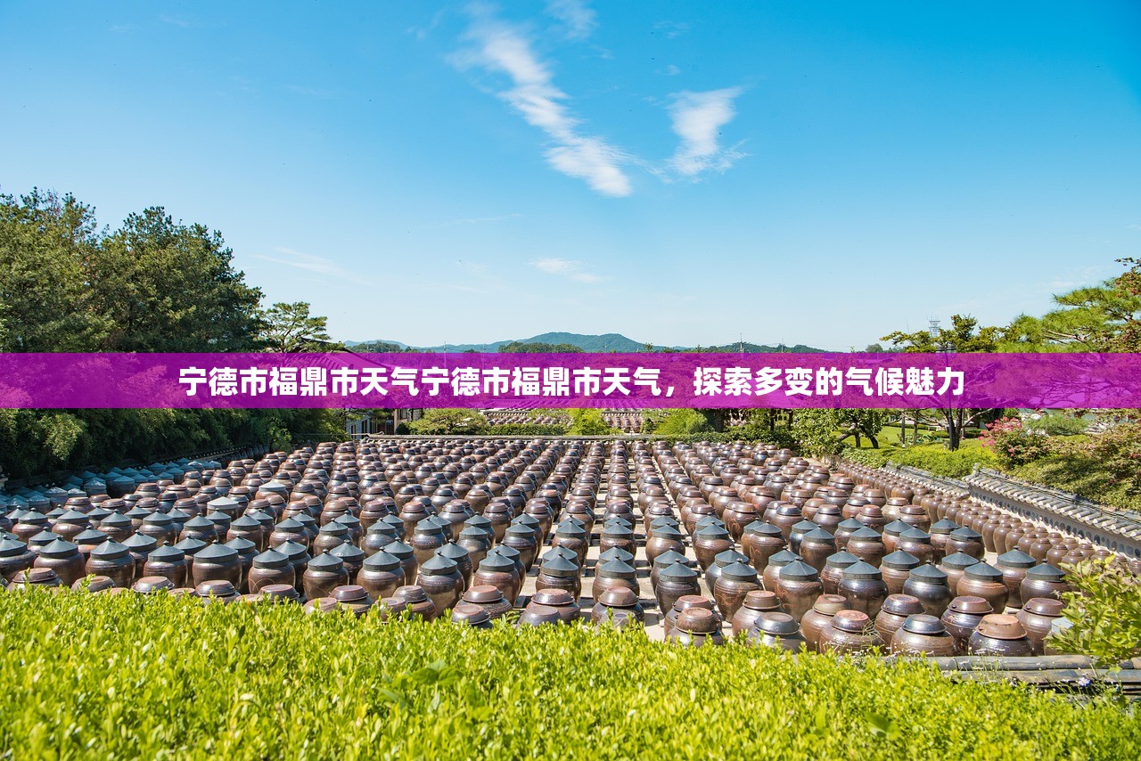 宁德市福鼎市天气宁德市福鼎市天气，探索多变的气候魅力  第1张