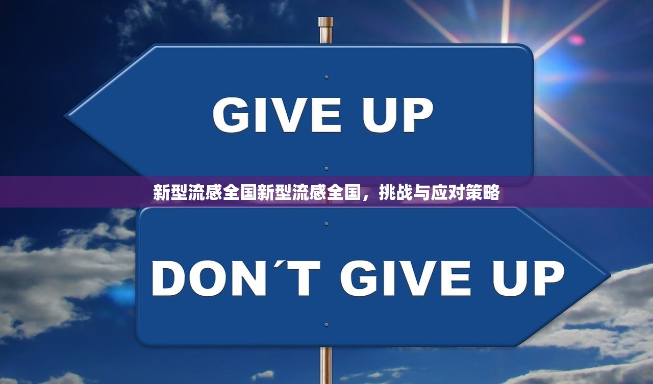 新型流感全国新型流感全国，挑战与应对策略  第1张