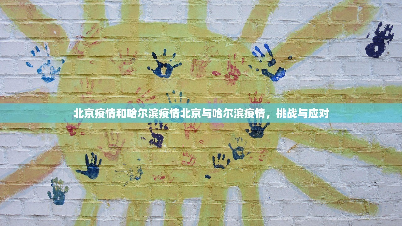 北京疫情和哈尔滨疫情北京与哈尔滨疫情，挑战与应对  第1张