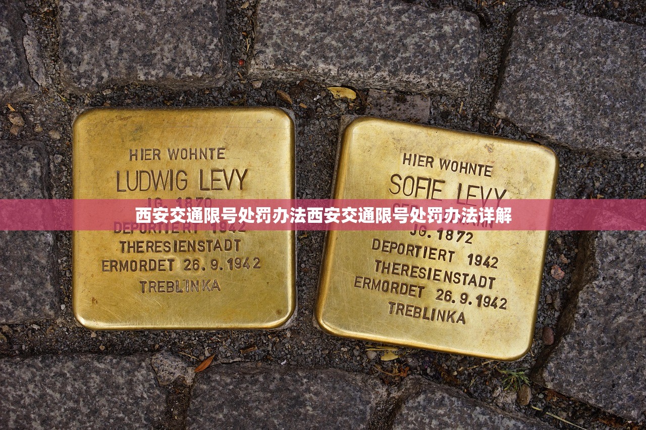 西安交通限号处罚办法西安交通限号处罚办法详解  第1张