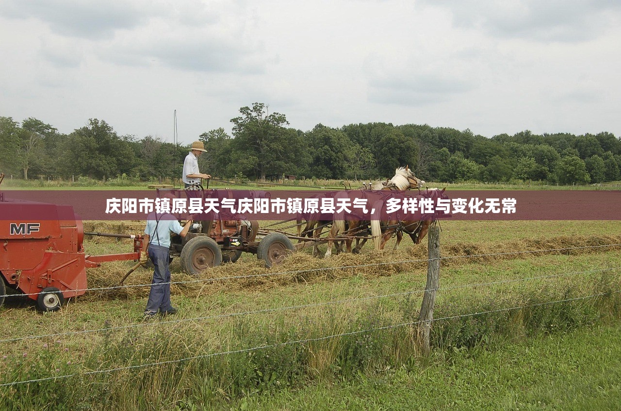 庆阳市镇原县天气庆阳市镇原县天气，多样性与变化无常  第1张