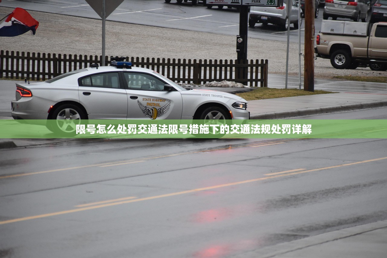 限号怎么处罚交通法限号措施下的交通法规处罚详解  第1张