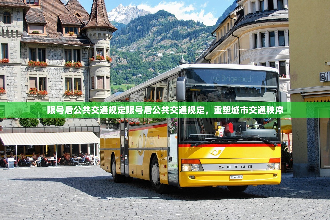 限号后公共交通规定限号后公共交通规定，重塑城市交通秩序  第1张