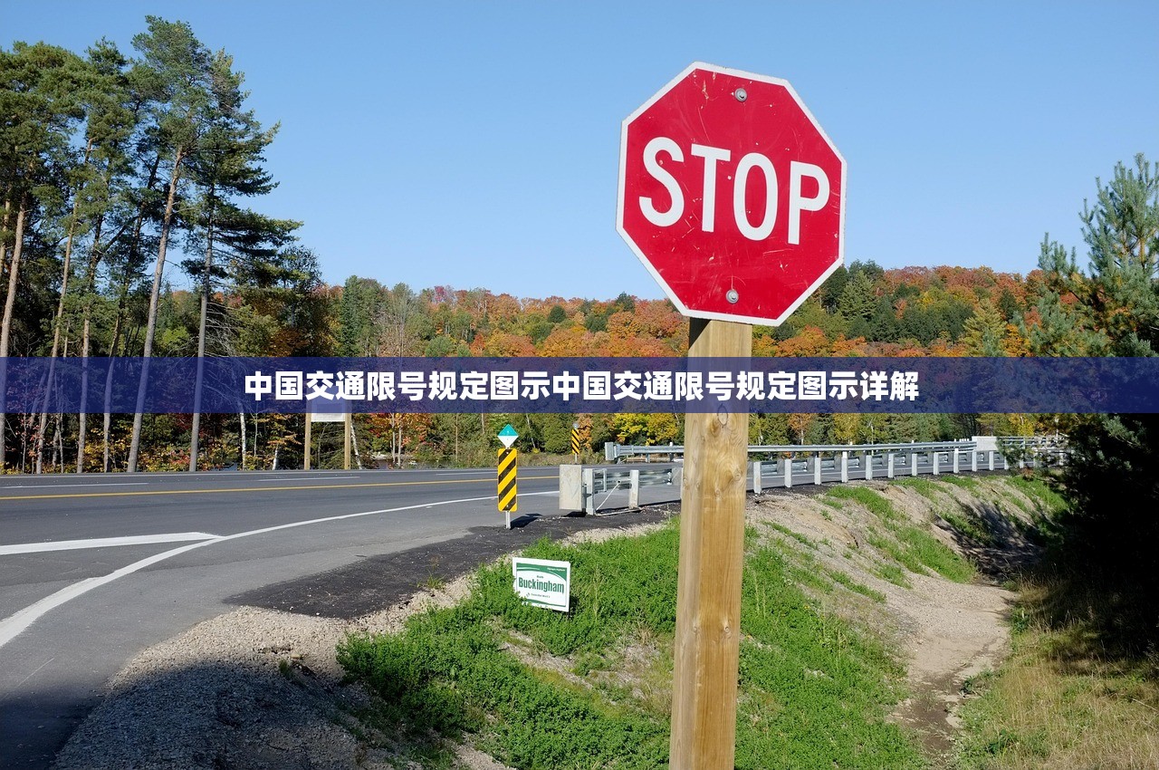 中国交通限号规定图示中国交通限号规定图示详解  第1张