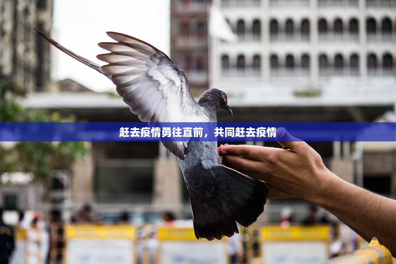 赶去疫情勇往直前，共同赶去疫情  第1张