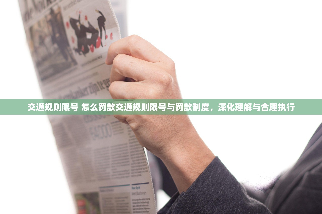 交通规则限号 怎么罚款交通规则限号与罚款制度，深化理解与合理执行  第1张