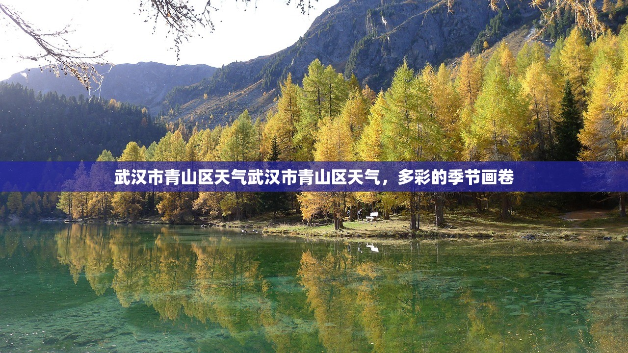 武汉市青山区天气武汉市青山区天气，多彩的季节画卷  第1张