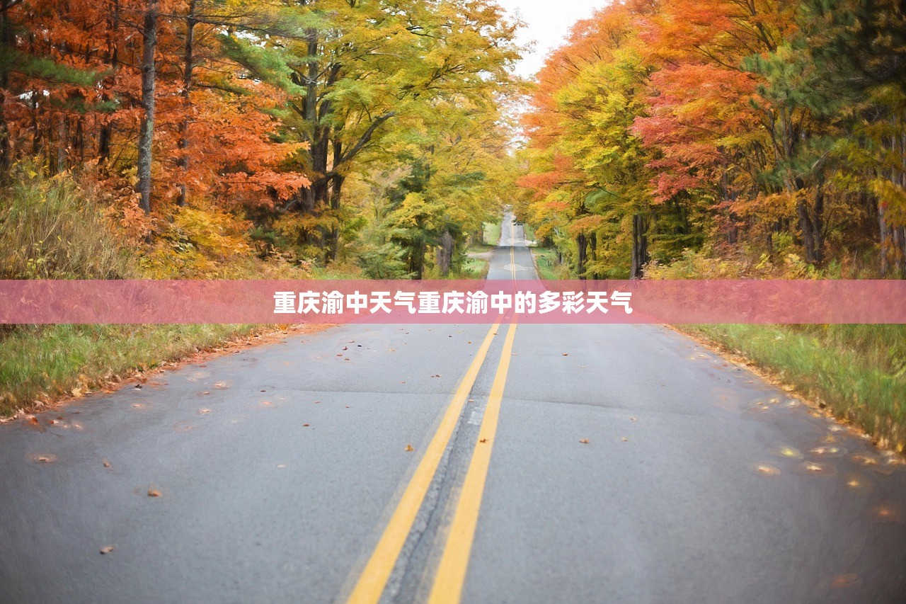 重庆渝中天气重庆渝中的多彩天气  第1张
