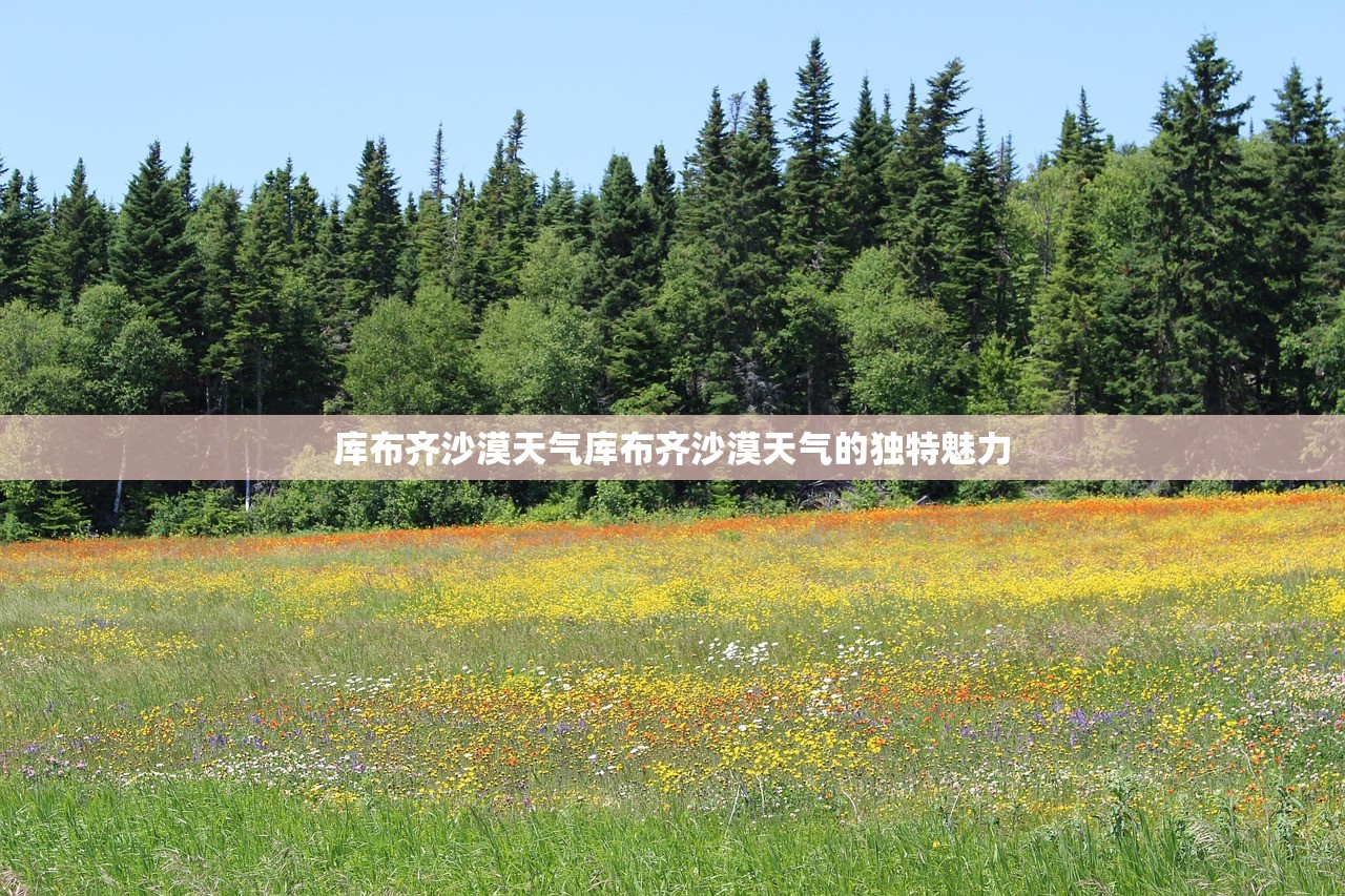 库布齐沙漠天气库布齐沙漠天气的独特魅力  第1张