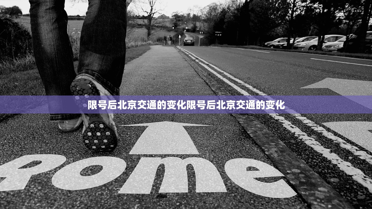 限号后北京交通的变化限号后北京交通的变化  第1张
