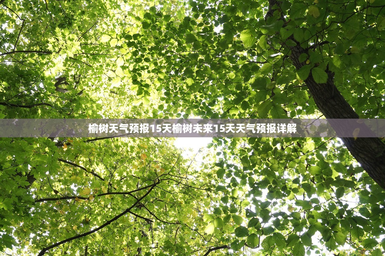 榆树天气预报15天榆树未来15天天气预报详解  第1张